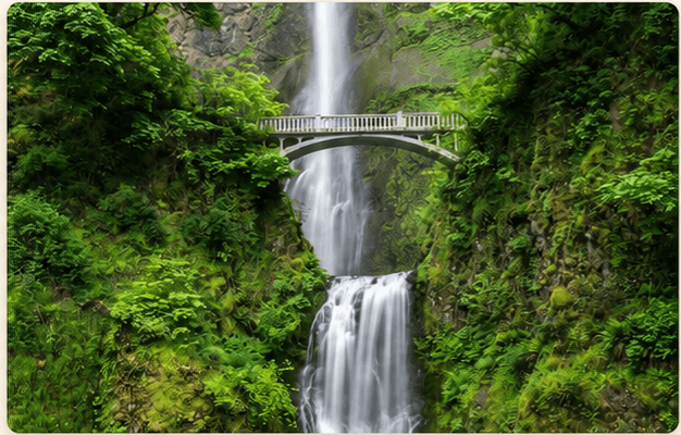 Waterfall surrounded by lush green forest